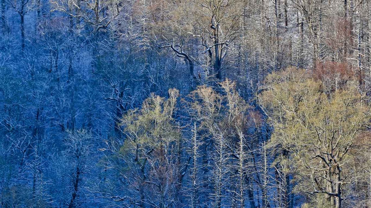 Newfound Gap in the Great Smoky Mountains National Park between North Carolina and Tennessee 