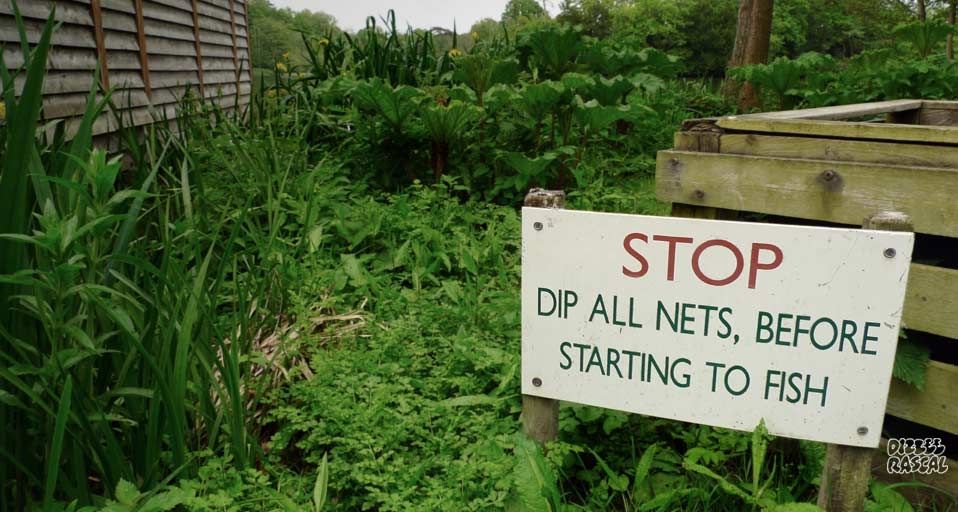 Bury Hill Fishery, Dorking, Surrey – Dizzee Rascal ©
