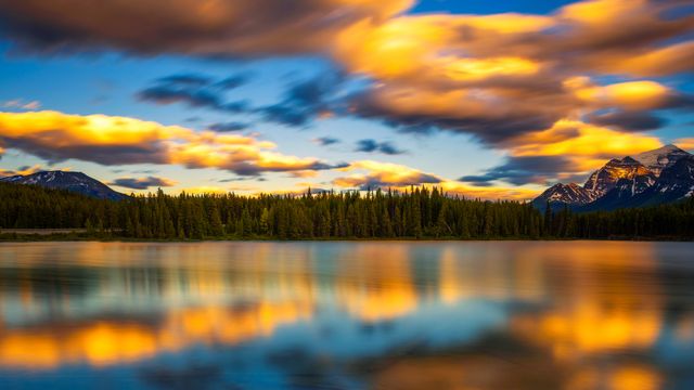 Light on the lake