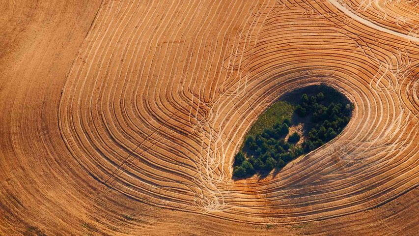 Exploitation agricole dans la Palouse, état de Washington