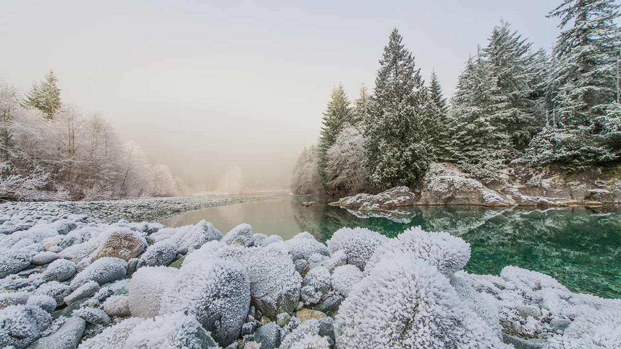 Frost on the banks of the Taylor River on the road to Tofino, B.C. 