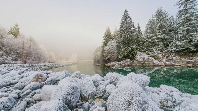 Frost on the banks of the Taylor River on the road to Tofino, B.C. 