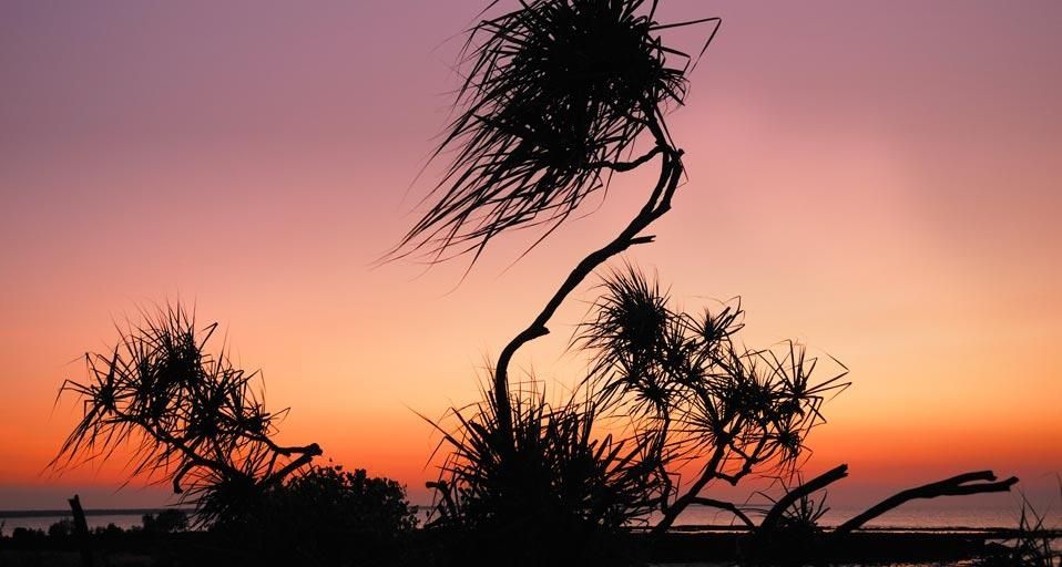 Sunset at East Point, Darwin, Northern Territory, Australia