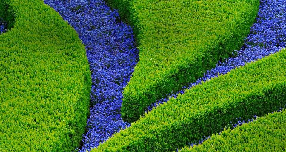 Stauden- und Blumenpracht im Vrtba-Garten in der Kleinseite von Prag, Tschechische Republik