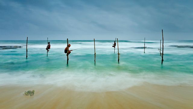 Pêcheurs sur échasses à Koggala, Sri Lanka