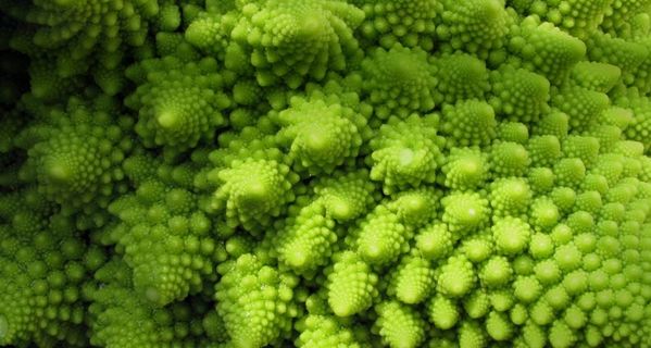 LuaTinker在BCB中编译不过