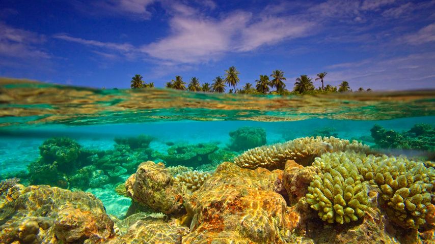 马尔代夫群岛的南苏瓦迪瓦环礁