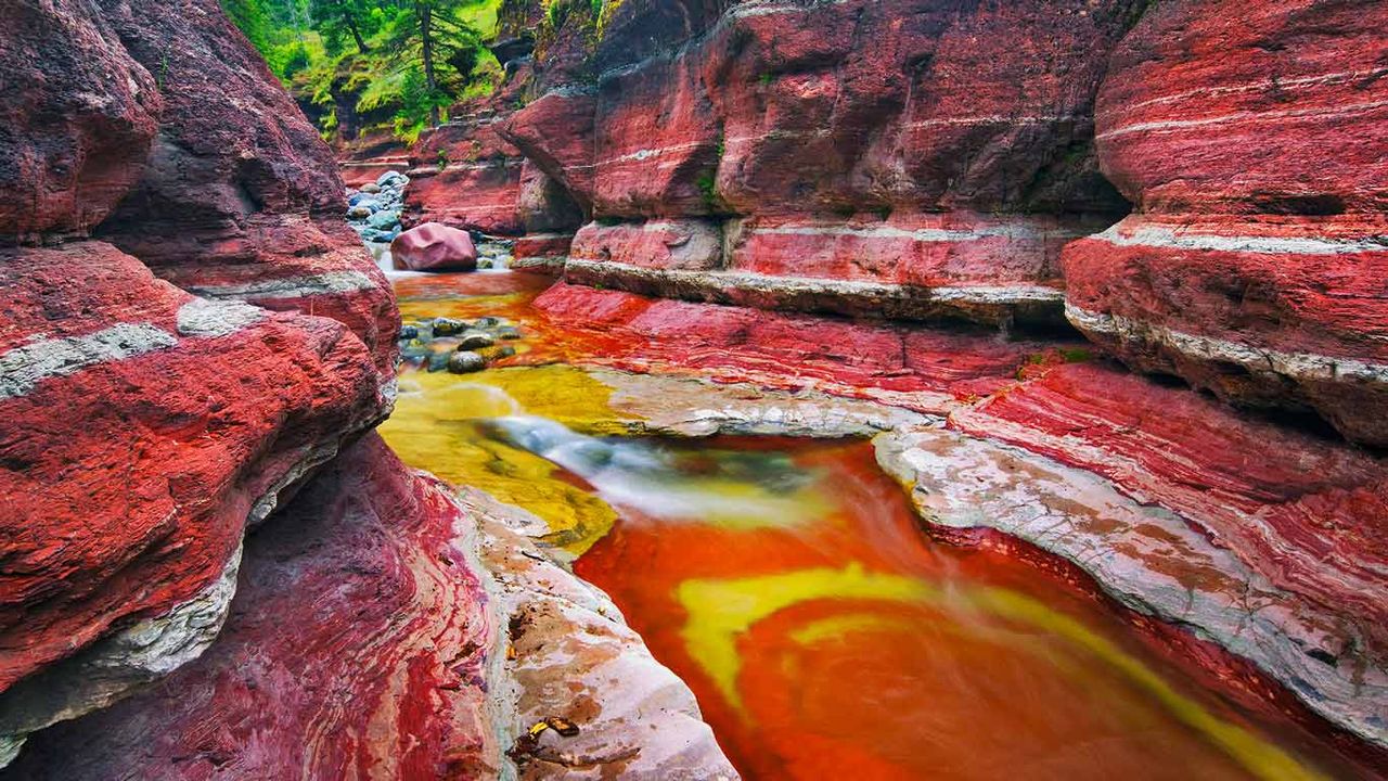 Mountain brook in Red Rock Canyon in Waterton Lakes National Park