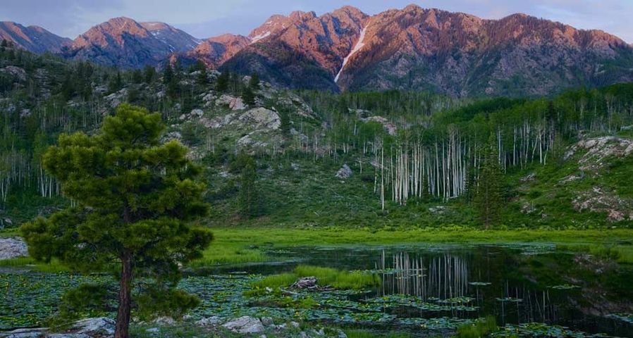 The peaks of the San Juan Mountains, part of the Rocky Mountains, rise above a beaver pond  in southwest Colorado