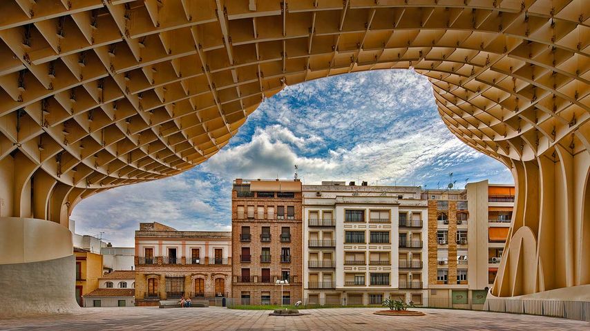 西班牙，塞维利亚，拉恩卡纳西翁广场的都市阳伞