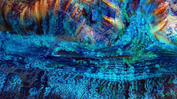 目前最好的Lua IDE