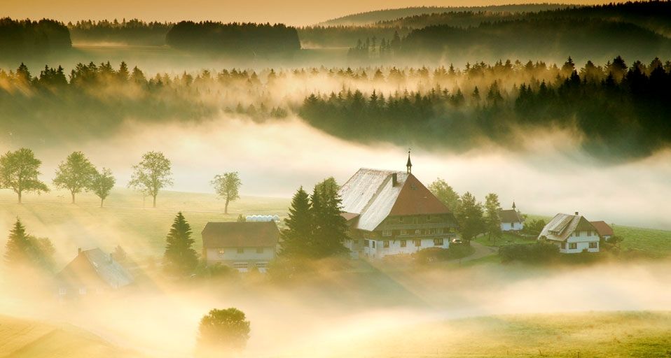 Unterfallengrundhof farmhouse through the morning mist near Gütenbach, Black Forest, Baden-Württemberg, Germany