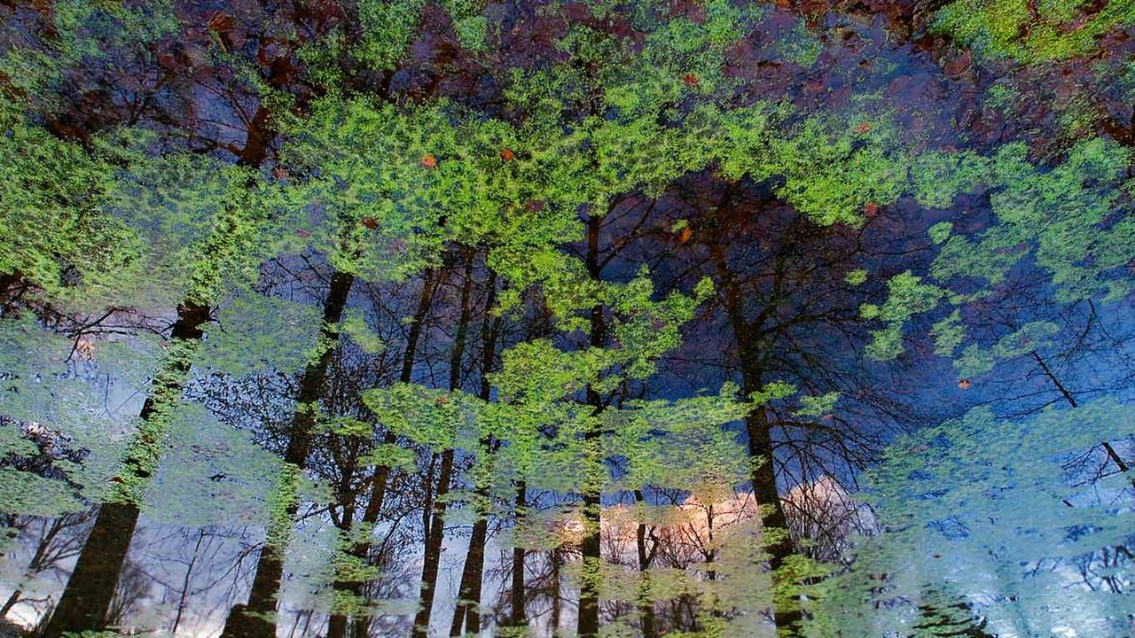 Reflection on the lake at Bergpark Wilhelmshöhe in Kassel, Germany 
