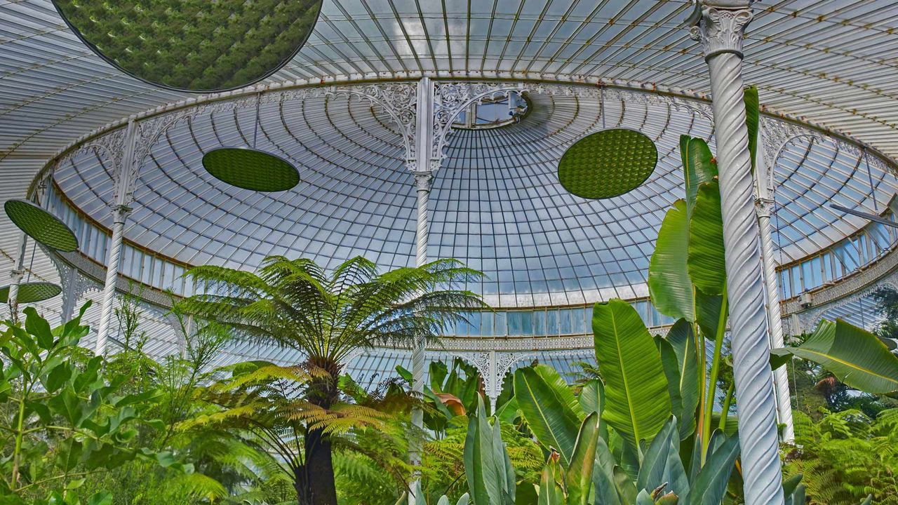 Inside the Kibble Palace at Glasgow Botanic Gardens, Scotland 