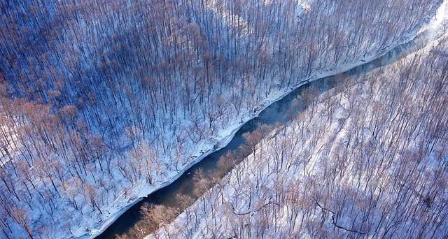 Aerial view of a creek flowing through the countryside of Virginia, USA