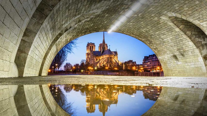 Notre-Dame de Paris se reflétant dans l’eau sous le pont de la Tournelle la nuit, Paris, Île de France