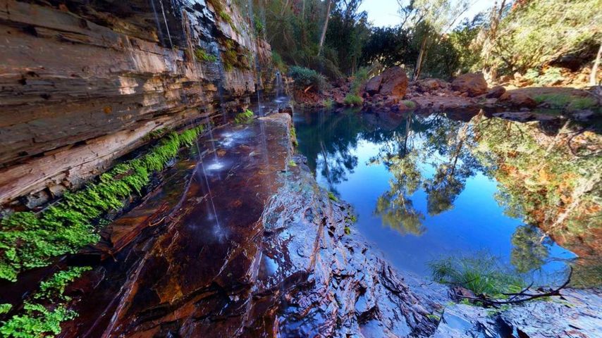 ｢デールズ・ゴージ｣西オーストラリア, カリジニ国立公園
