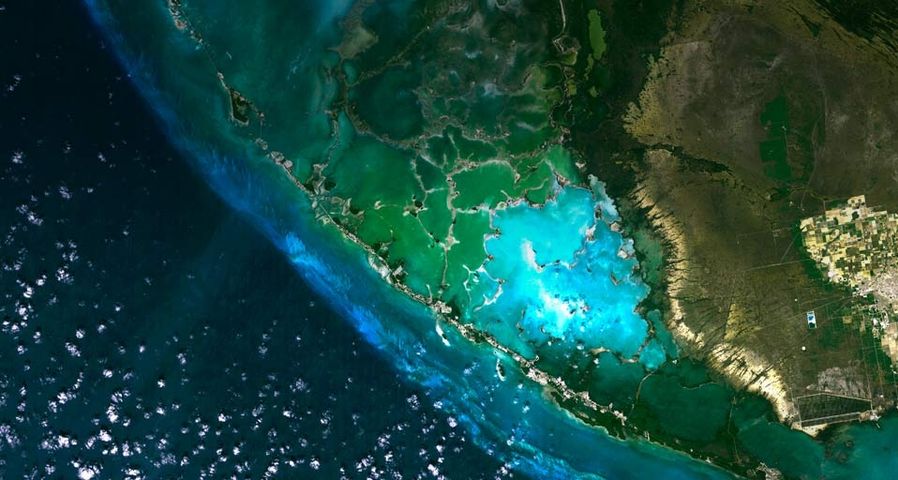 卫星拍摄的佛罗里达州沼泽地