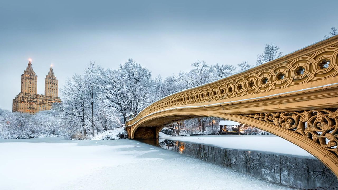 Bow Bridge, Central Park, New York, États-Unis 