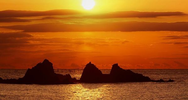 google test和google mock