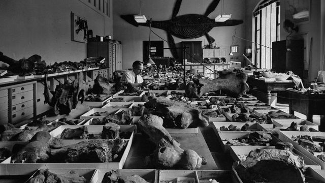 Behind the scenes at the Smithsonian, which was founded 10 August 1846