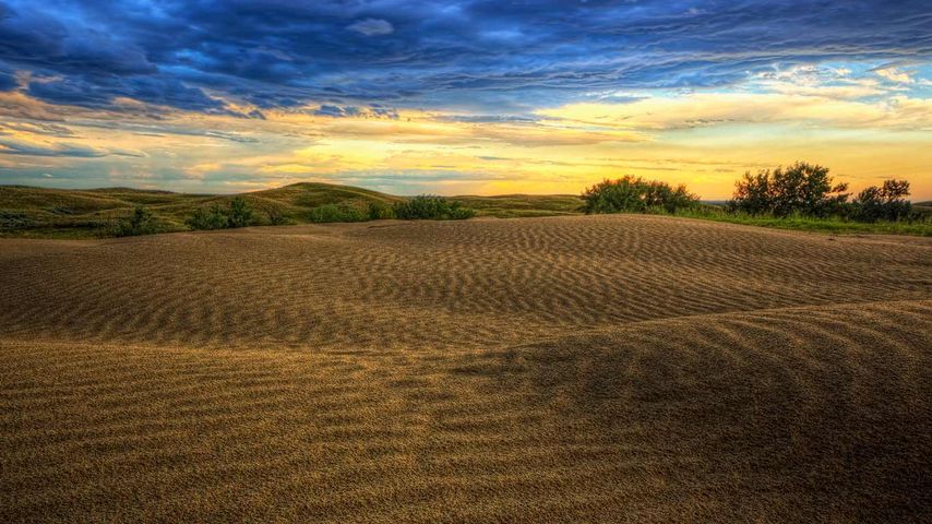 Great Sandhills at sunset; Saskatchewan, Canada