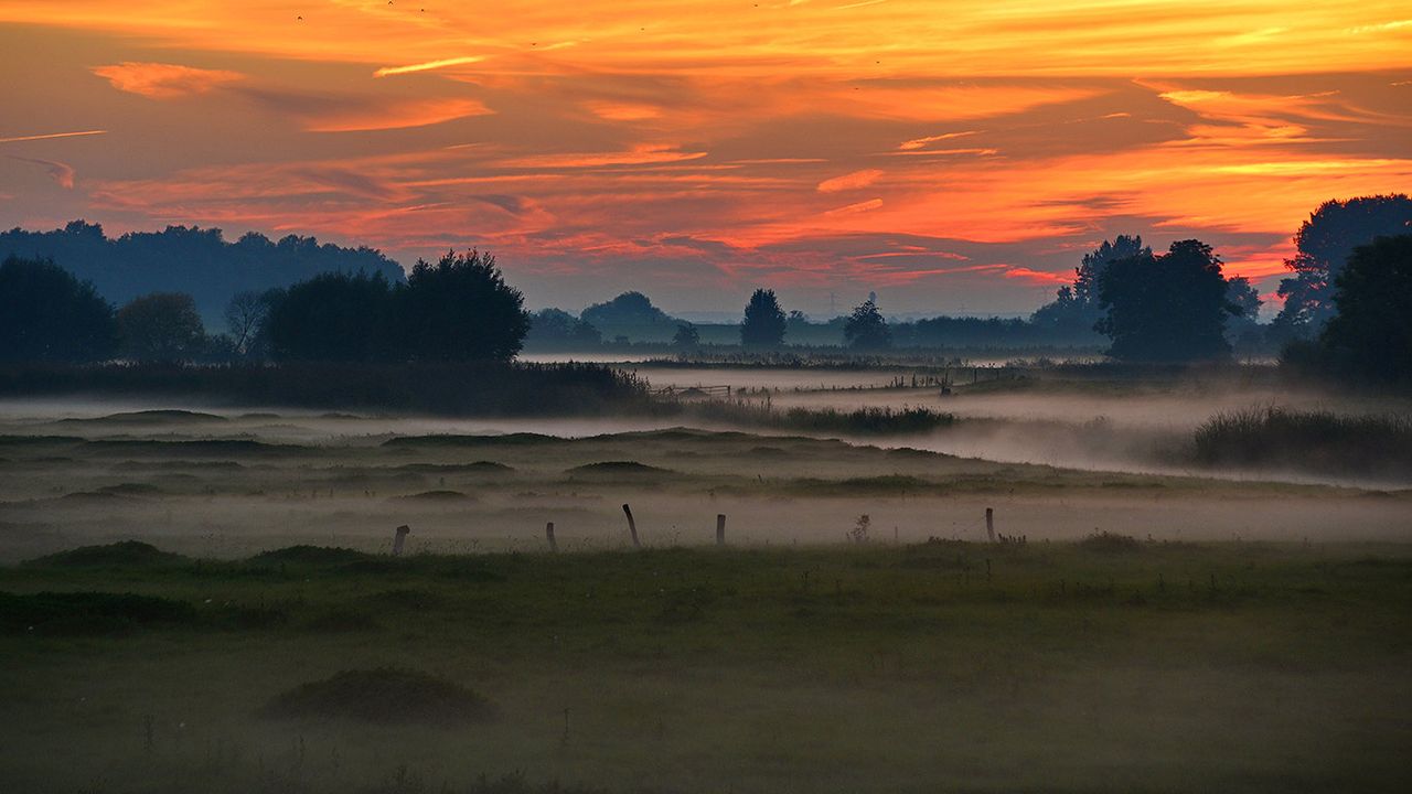 Wedeler Marsch, Wedel, Schleswig-Holstein, Deutschland 