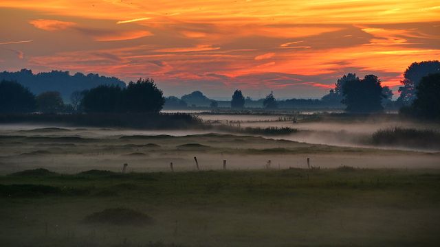 Wedeler Marsch, Wedel, Schleswig-Holstein, Deutschland 