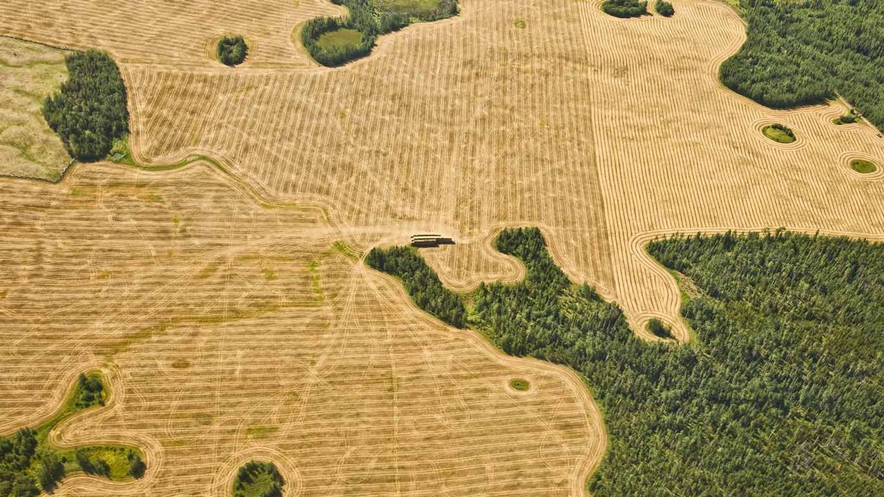 Aerial view of farmland, near Vancouver, BC, Canada