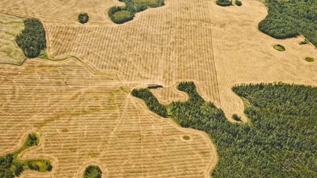 Aerial view of farmland, near Vancouver, BC, Canada