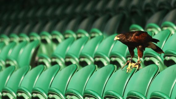 《Windows高级调试》