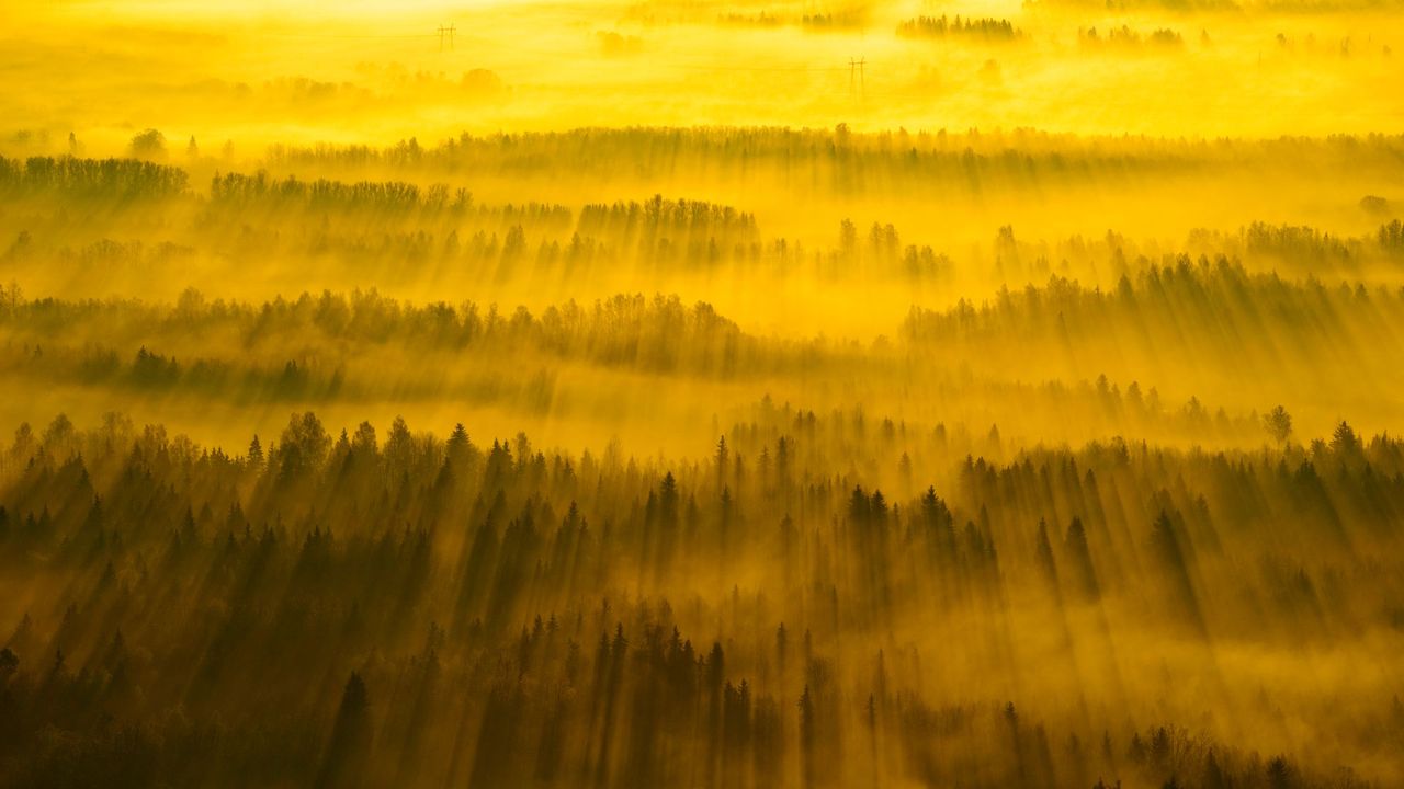 Sunbeams across Tartu County, Estonia 