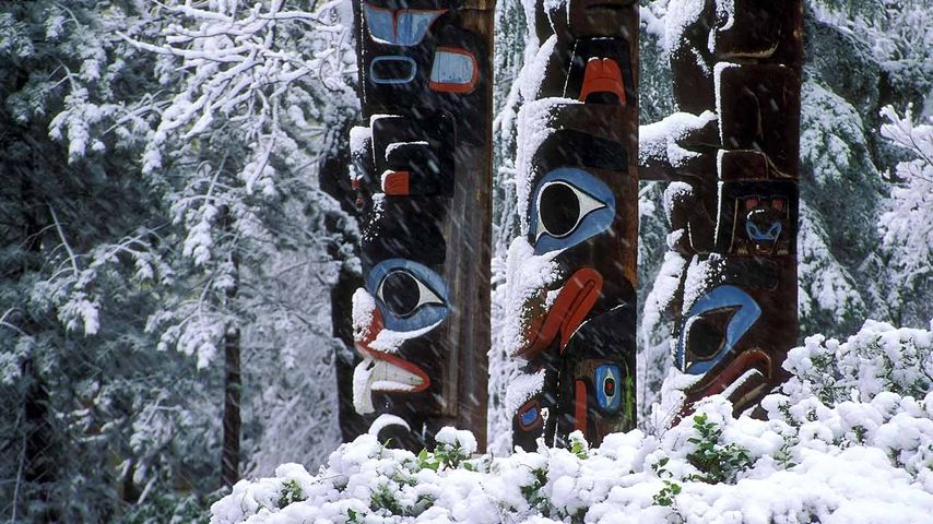 Totems of Thunderbird Park in winter, Victoria, Vancouver Island, British Columbia