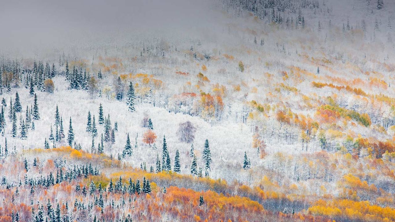 Early snowfall near Fairbanks, Alaska 