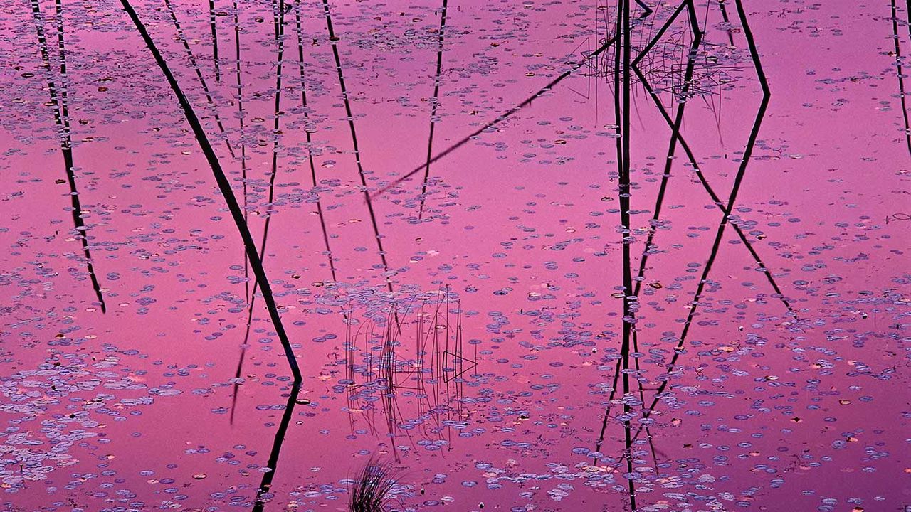 Sunset near Ely, Minnesota