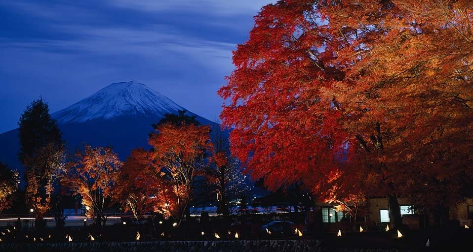 ｢もみじ回廊｣山梨, 河口湖
