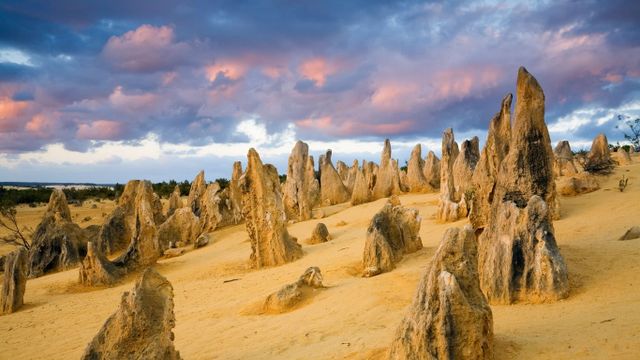 The Pinnacles in Nambung National Park, Western Australia 