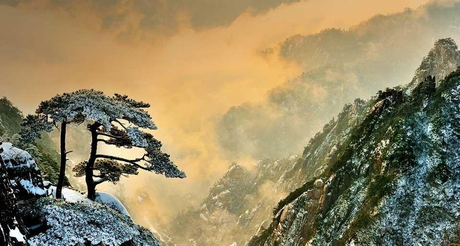 Huang Shan (monts Jaunes) en hiver, province d’Anhui, Chine