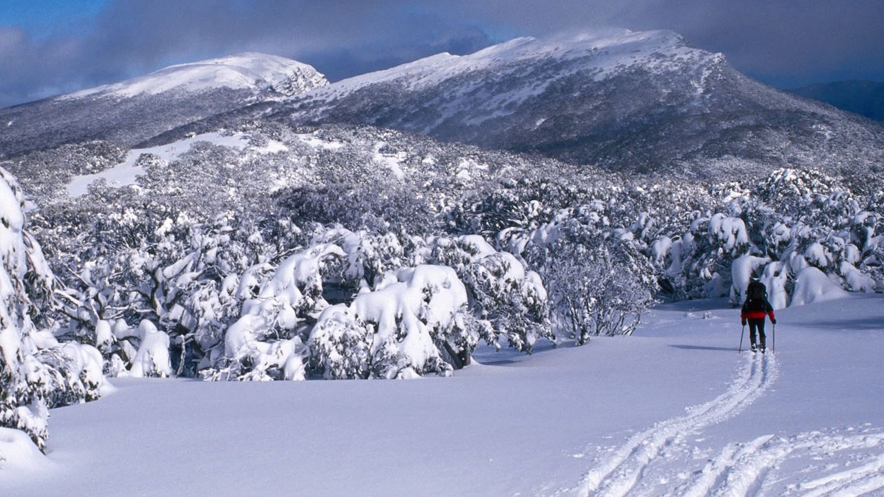 Cross country skier on Mt. Lovick in the Mt. Buller region, Victoria