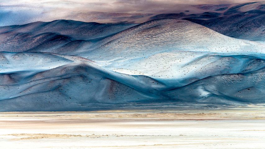 A well-salted wildland