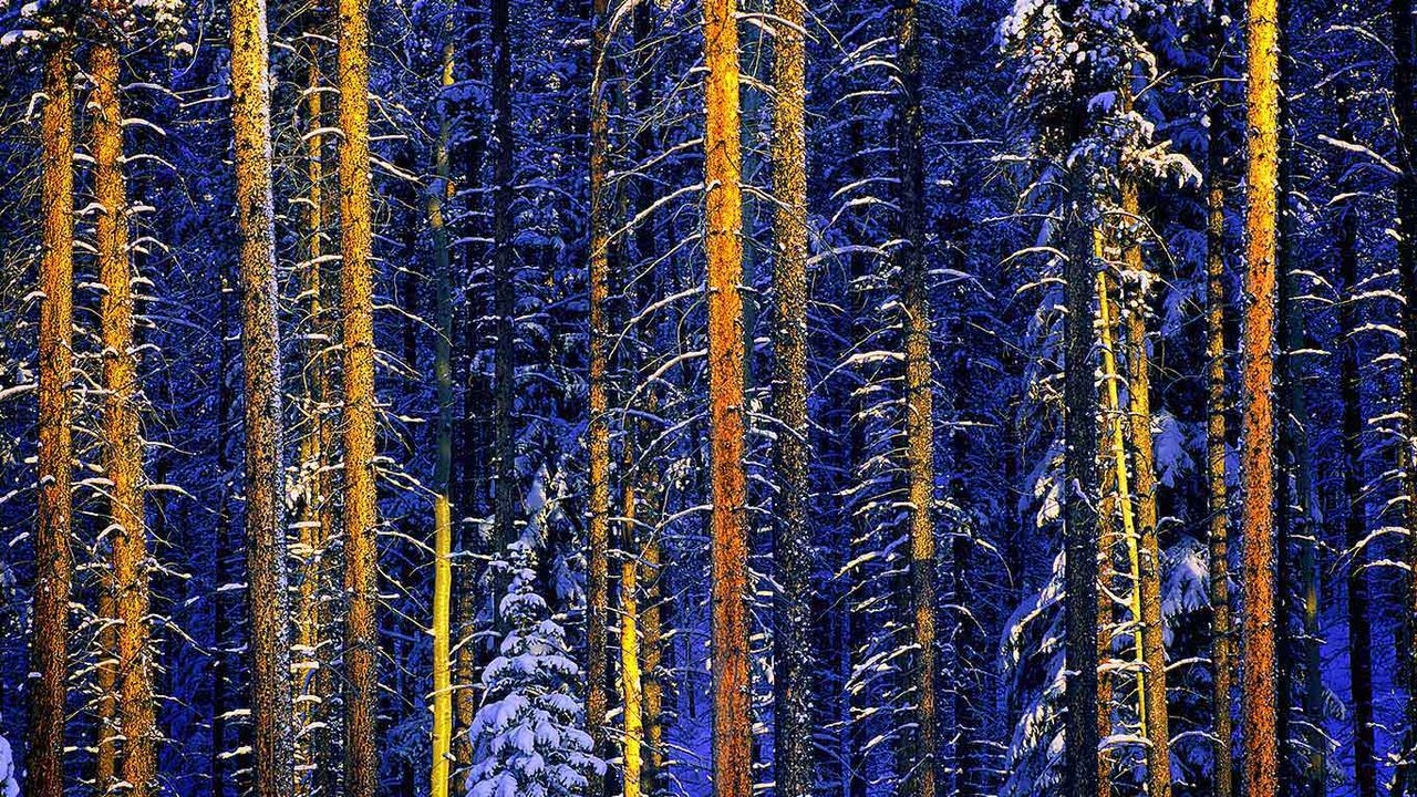 Jasper-Nationalpark, Alberta, Kanada