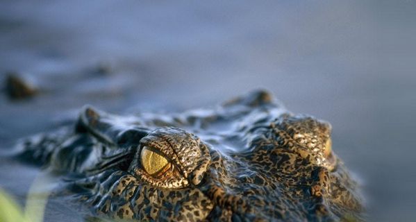 如何利用机器资源