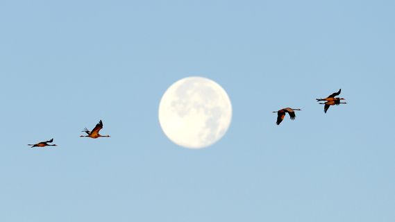 恢复系统的心得