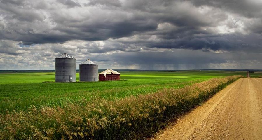 A country road with fields and granaries and an approaching rain storm in Oyen, Alberta, Canada