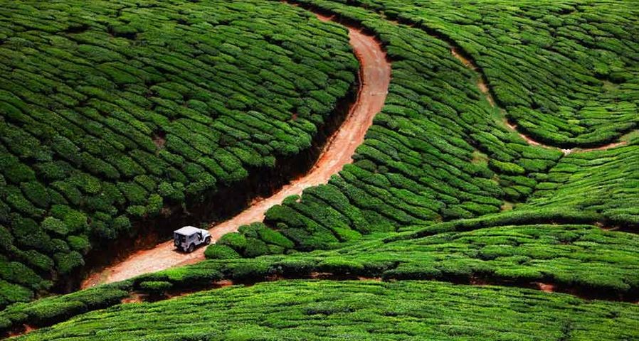 Ein Fahrzeug unterwegs auf einer Teeplantage in Kerala, Südindien