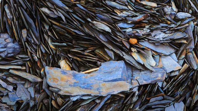 「河岸の石」カナダ, ケベック州