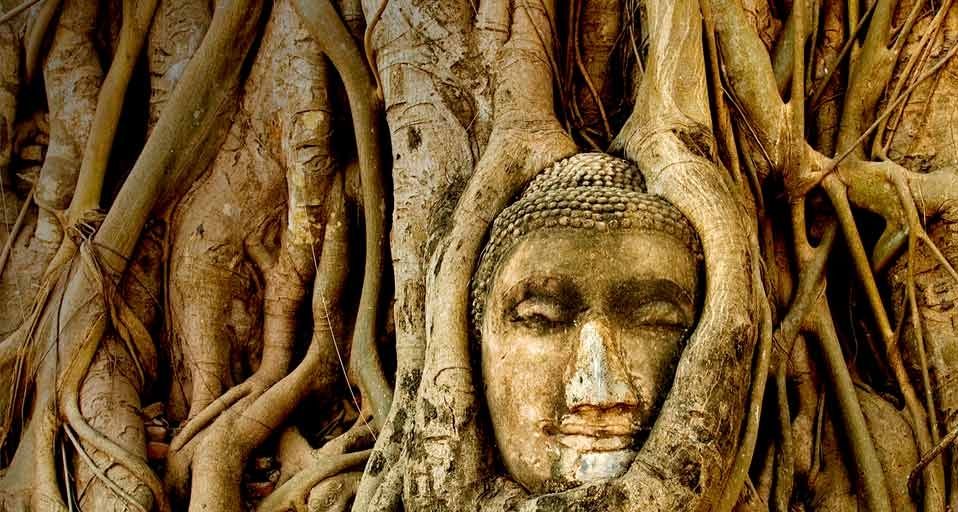 A stone Buddha head sits entwined in the roots of a fig tree in the ancient ruins of Wat Mahatat, in Ayudya, Thailand