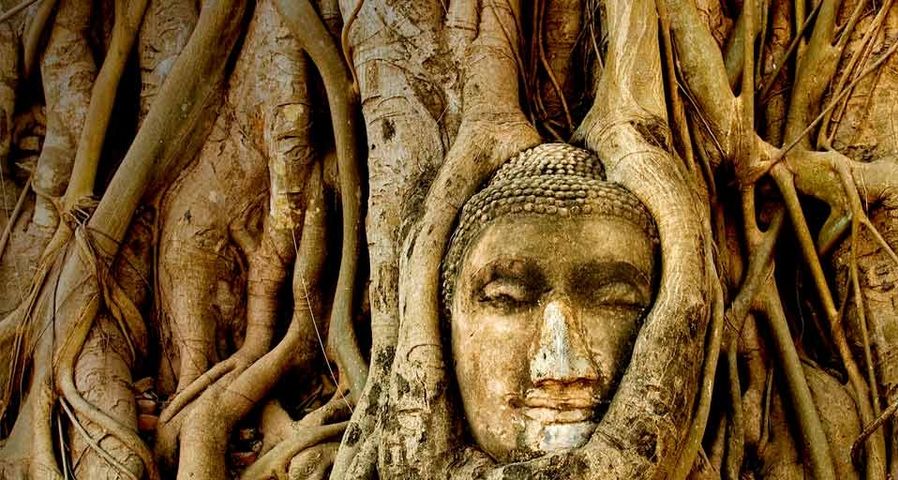 Der Kopf einer Buddha-Statue umrahmt von Baumwurzeln in den Ruinen von Wat Mahathat, Ayutthaya, Thailand – Thom Lang/Corbis ©