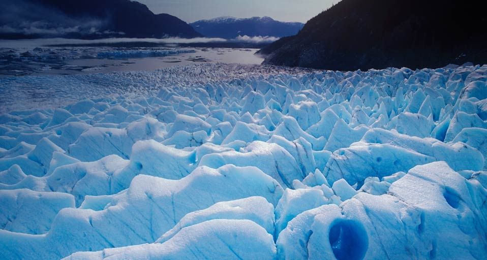 Great Glacier Provincial Park, Lower Stikine, British Columbia, Canada