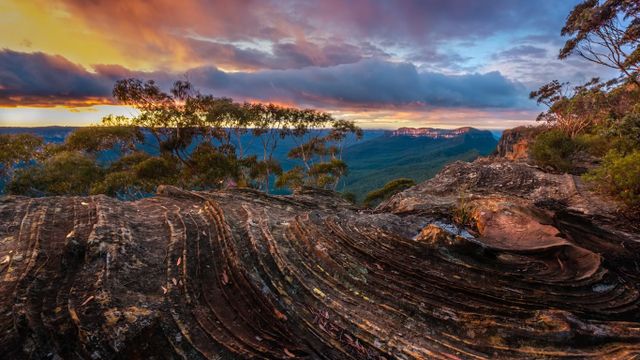 Narrow Neck Plateau, Blue Mountains, NSW, Australia